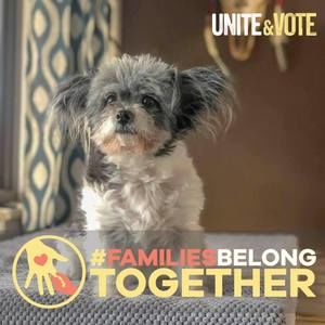 Meet your Posher, Melony